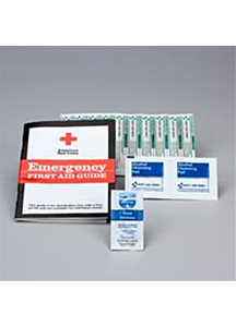 American Medical Association First Aid Guidebook Kit